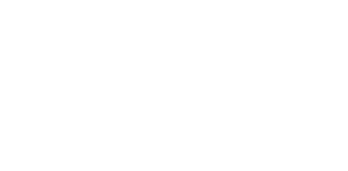 Oracle NetSuite Alliance Partner