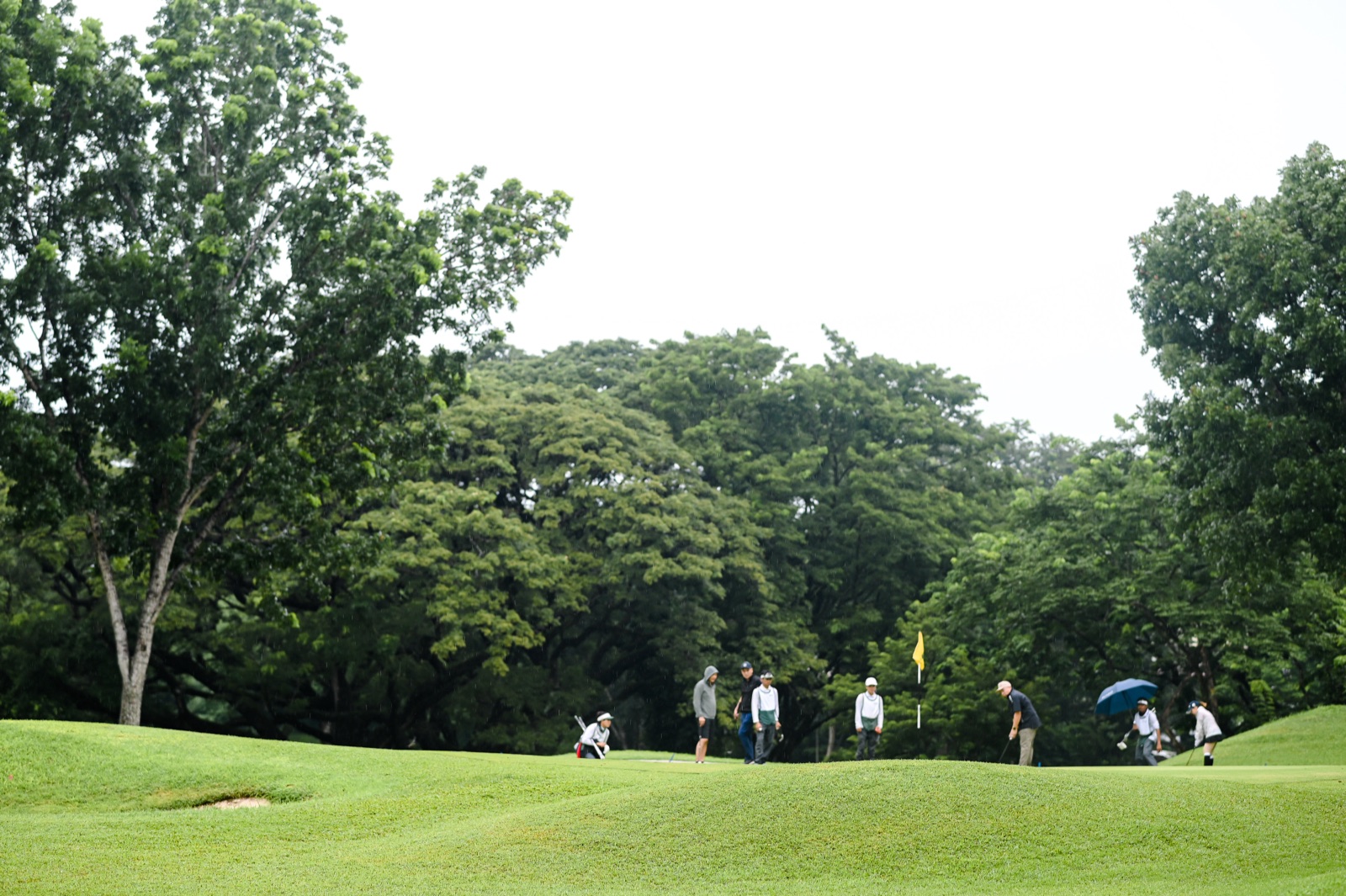 Golfers and caddies on the green in the rain